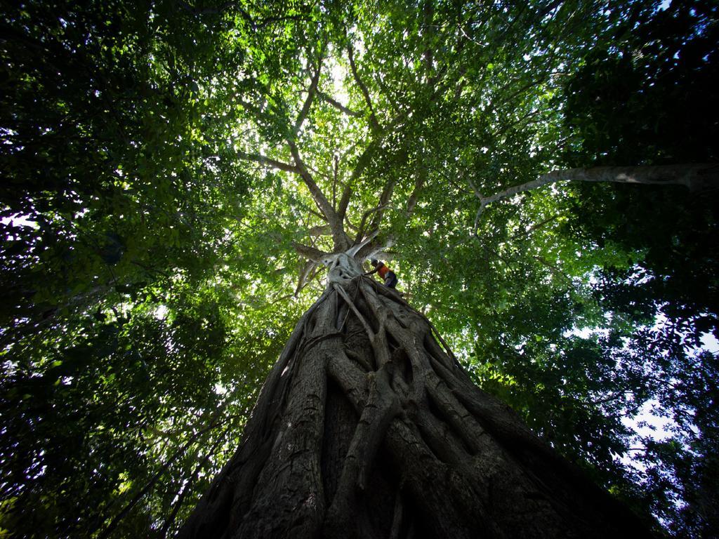 Pousada La Bonita Baia Formosa  Ngoại thất bức ảnh