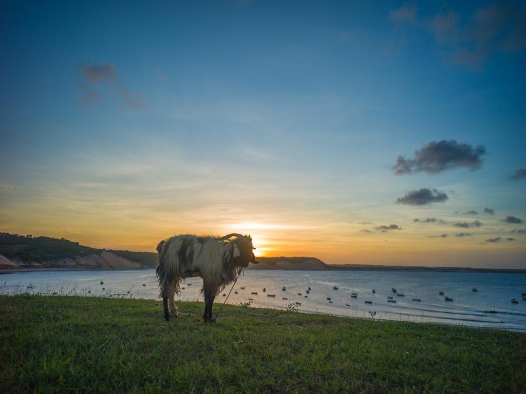 Pousada La Bonita Baia Formosa  Ngoại thất bức ảnh