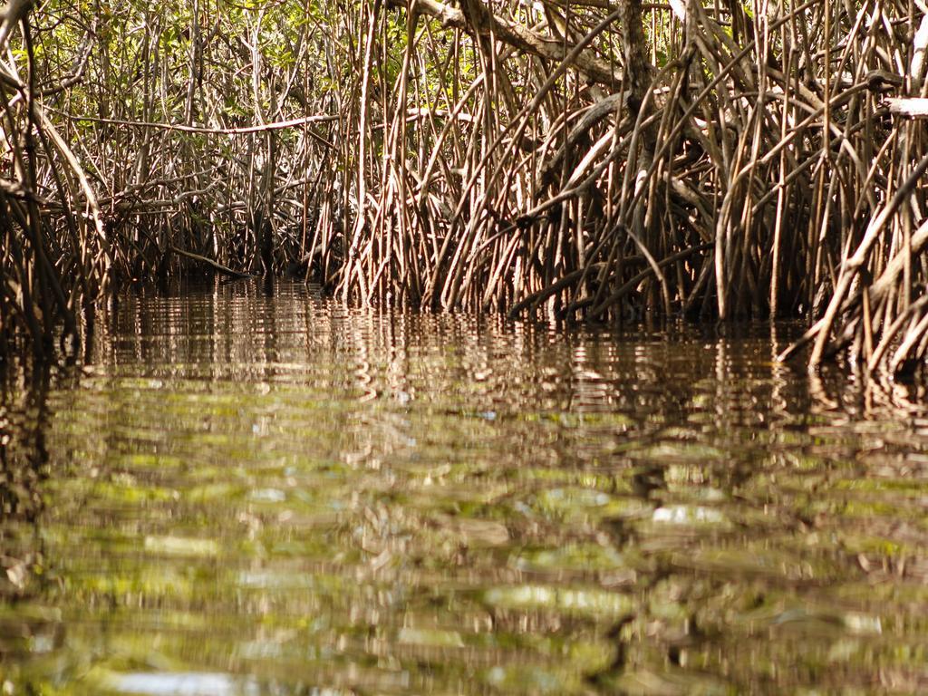 Pousada La Bonita Baia Formosa  Ngoại thất bức ảnh