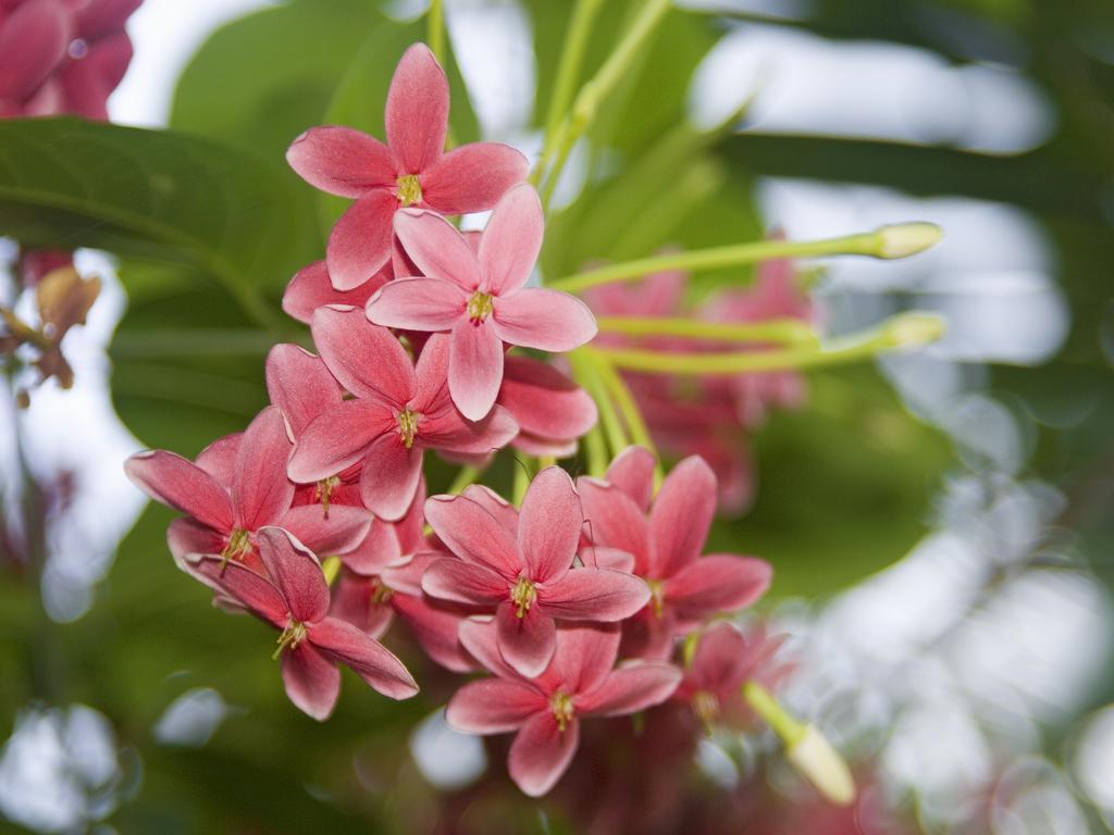 Pousada La Bonita Baia Formosa  Ngoại thất bức ảnh